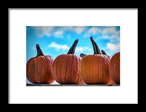Pumpkins Framed Print featuring the photograph High Pumpkins by Cathy Kovarik