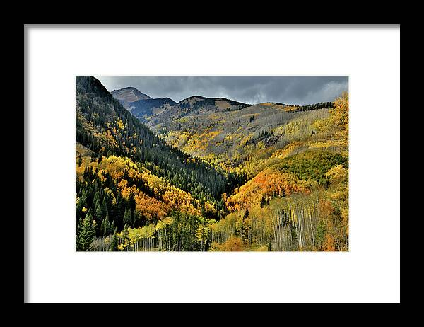 Highway 145 Framed Print featuring the photograph Highway 145 Fall Colors in the Spotlight by Ray Mathis
