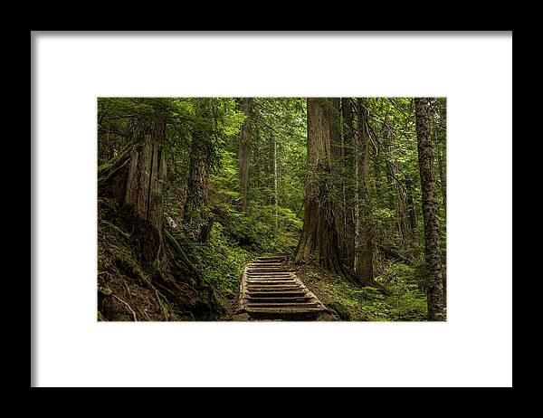 Hiking Trail Framed Print featuring the photograph Hiking in Mt. Rainier, Washington by Julieta Belmont