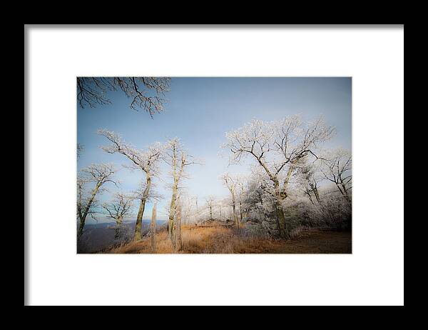 Blue Ridge Framed Print featuring the photograph Hilltop Hoarfrost by Mark Duehmig