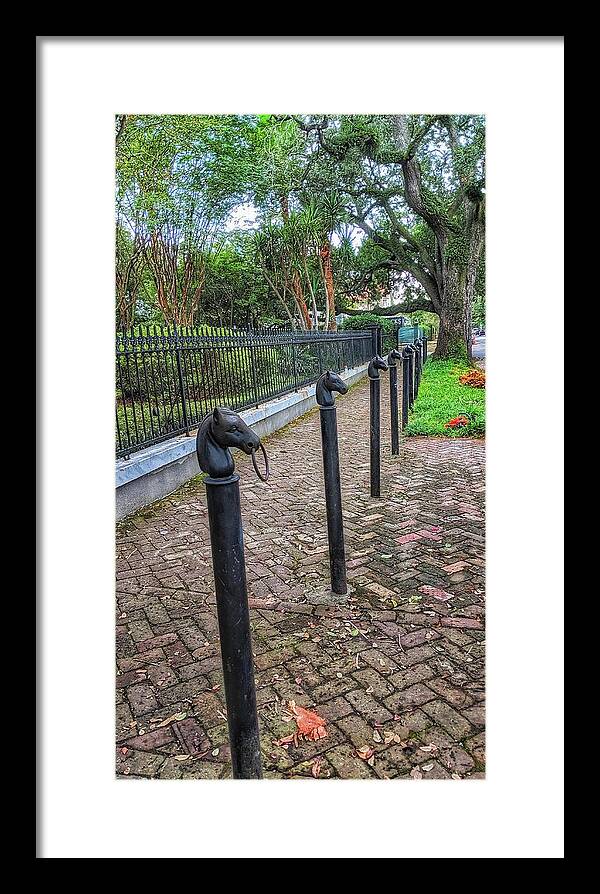 New Orleans Framed Print featuring the photograph Hold My Horse by Portia Olaughlin