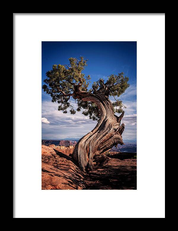 Utah Framed Print featuring the digital art Holding On Against Time by Bob Coorsen