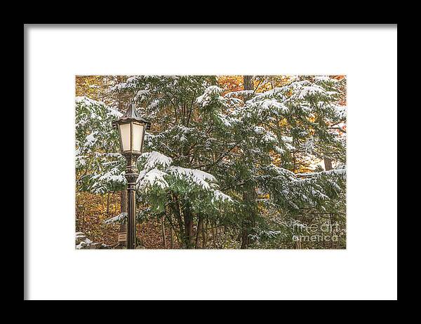 Lamppost Framed Print featuring the photograph Holidayesque by Amfmgirl Photography