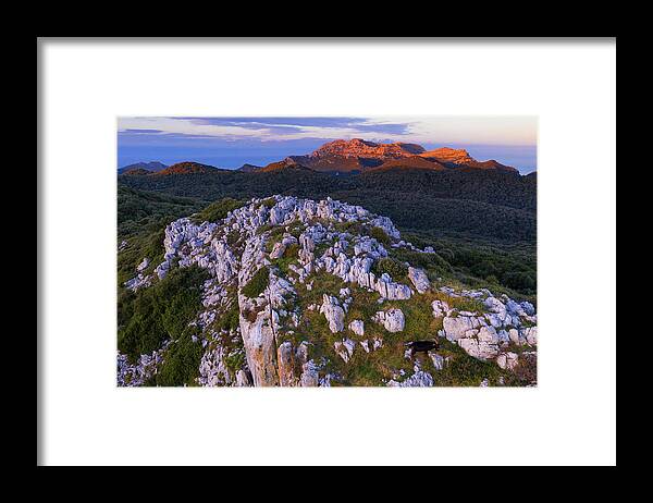 Plant Framed Print featuring the photograph Holm Oak Forest And Mountain Landscape, Liendo Valley by Juan Carlos Munoz / Naturepl.com