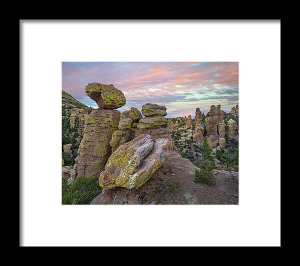 00563972 Framed Print featuring the photograph Hoodoos From Ai Point Nature Trail, Echo Canyon, Chiricahua Nm, Arizona by Tim Fitzharris