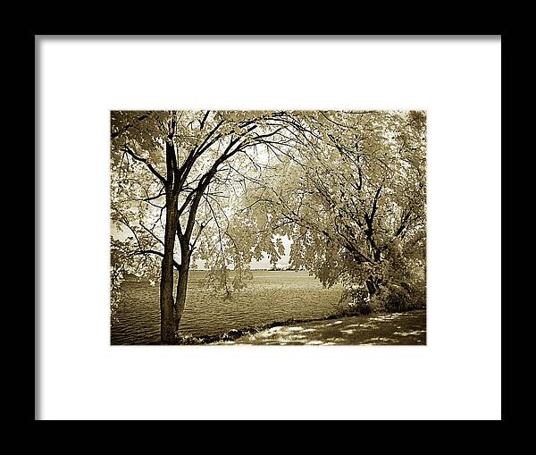 Photo Framed Print featuring the photograph Hopewell Shores 1 by Alan Hausenflock