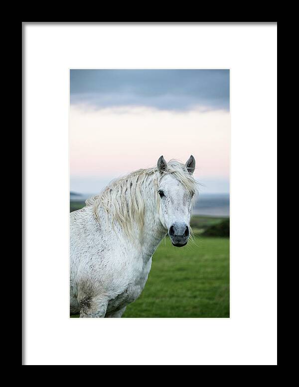 Coastal Framed Print featuring the photograph Horse At Dusk In Ireland by Cavan Images