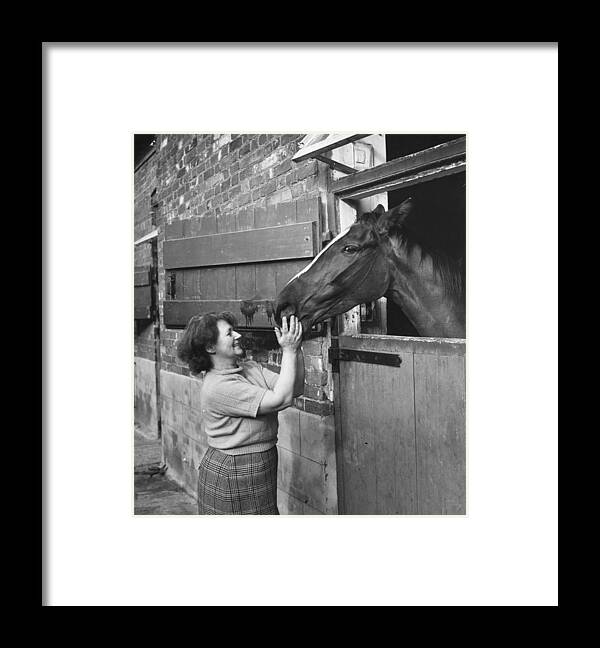 Horse Framed Print featuring the photograph Horse In Stable by Bert Hardy