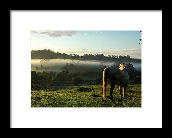 Horse Framed Print featuring the photograph Horse Mist by Incposterco
