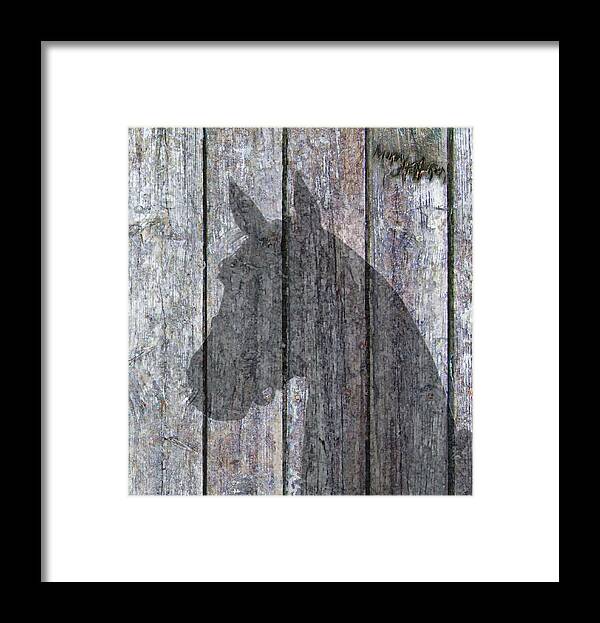 Horse Shadow Framed Print featuring the painting Horse Shadow by Murray Henderson Fine Art