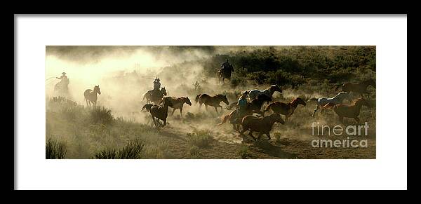 Horse Framed Print featuring the photograph Horses Cowboys And Wranglers Series 3 by Worldwideimages