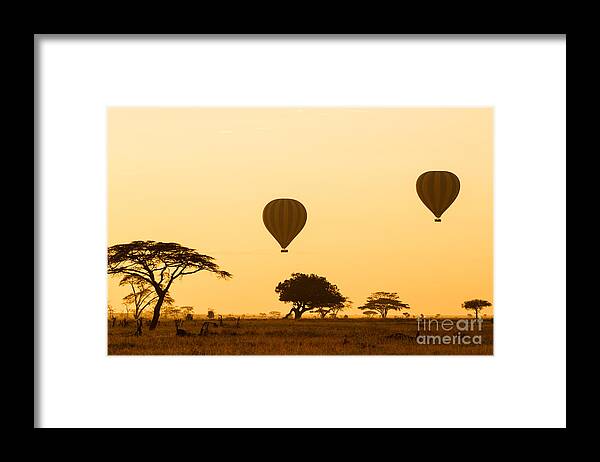 Tanzania Framed Print featuring the photograph Hot Air Balloons Over The Serengeti by Jez Bennett