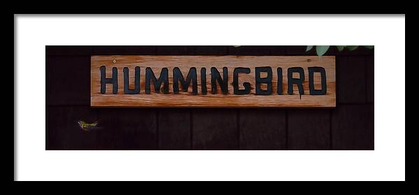 Hummingbird Framed Print featuring the photograph Hummingbird by Patrick Nowotny