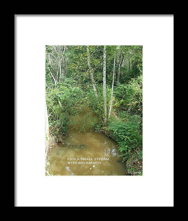 Have Purpose Framed Print featuring the photograph I AM A Small Stream With Big Impact by Larry Bardge
