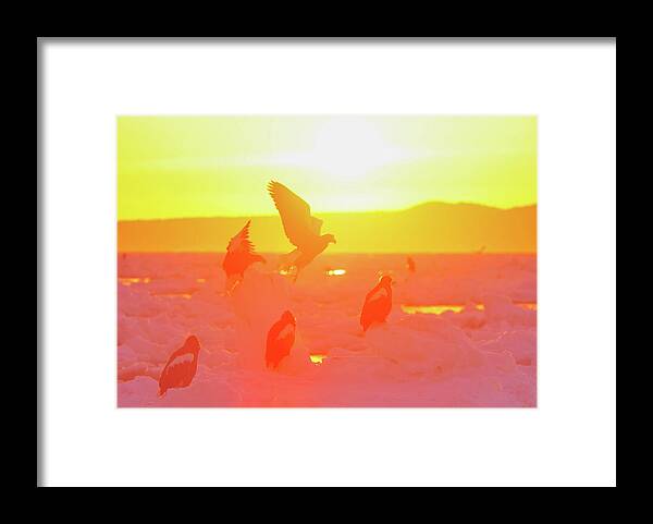 Dawn Framed Print featuring the photograph I Dance In The Morning Sun by Katsumi.takahashi