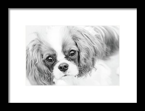 Cute Framed Print featuring the photograph I Love You by Tanya C Smith