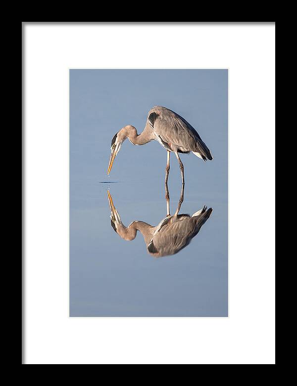 Great Framed Print featuring the photograph I See Me by Nick Kalathas