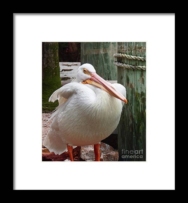 Bird Framed Print featuring the photograph I Should Have Stopped at Seconds 300 by Sharon Williams Eng