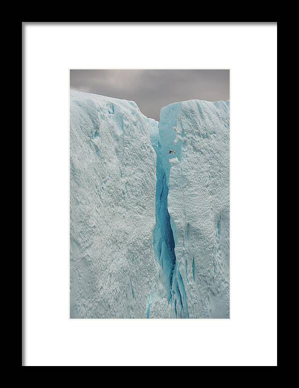 Arctic Framed Print featuring the photograph Iceberg #6 by Minnie Gallman
