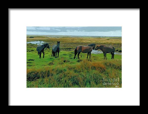 Iceland. Icelandic Horses Framed Print featuring the photograph Icelandic Horses by Diana Rajala