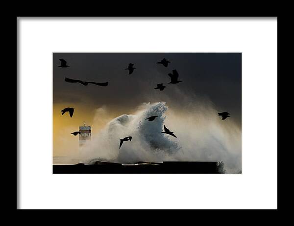 Fog Framed Print featuring the photograph I\'m Like A Bird by Ricardo Leal