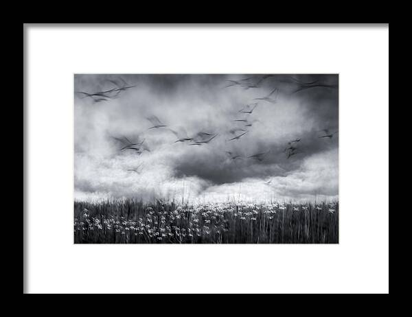 Crane Framed Print featuring the photograph Imminent Thunder by John Fan