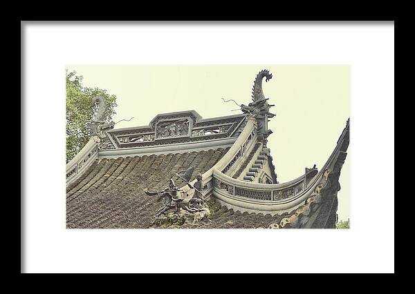 Bird Framed Print featuring the photograph Imperial Roof by JAMART Photography