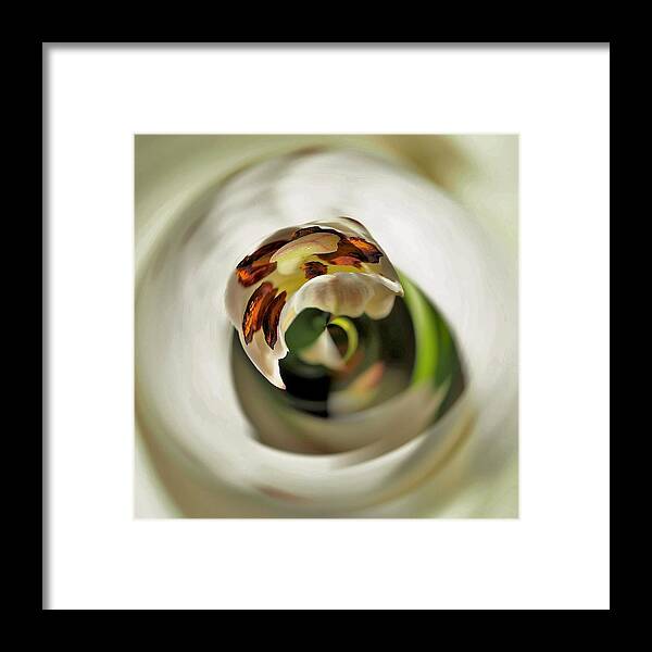Flowers Framed Print featuring the photograph In Depth Analysis by Bearj B Photo Art