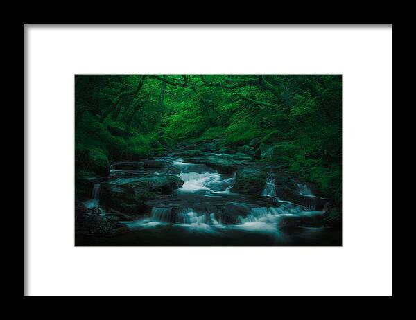 Dartmoor Framed Print featuring the photograph In Forest Silence by Milos Lach