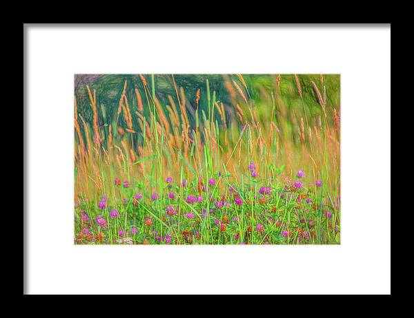  Framed Print featuring the photograph In The Clover by Marcy Wielfaert