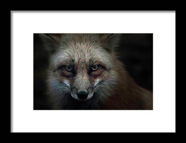 In Framed Print featuring the photograph In The Dark Of The Night by Brian Gustafson
