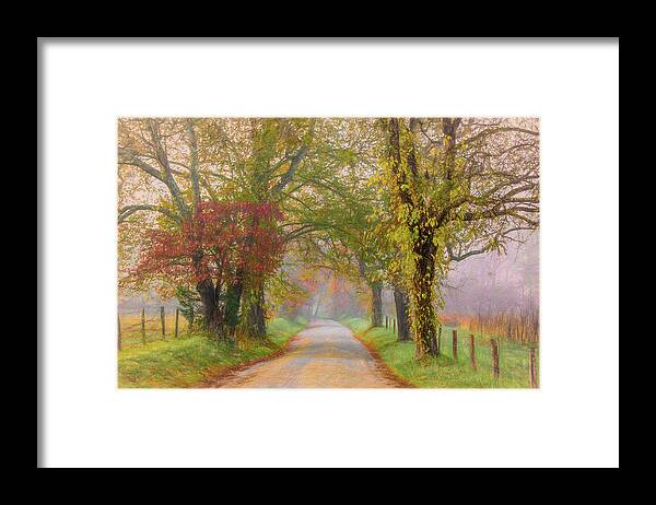 Cades Cove Framed Print featuring the photograph In the Light of Autumn by Marcy Wielfaert