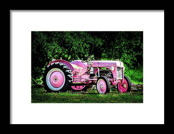 Pink Framed Print featuring the photograph In the Pink by KC Hulsman