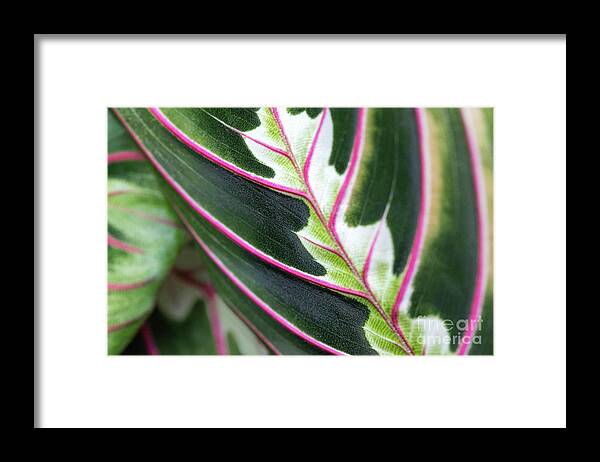 Abstracts Framed Print featuring the photograph In Your Arms by Marilyn Cornwell