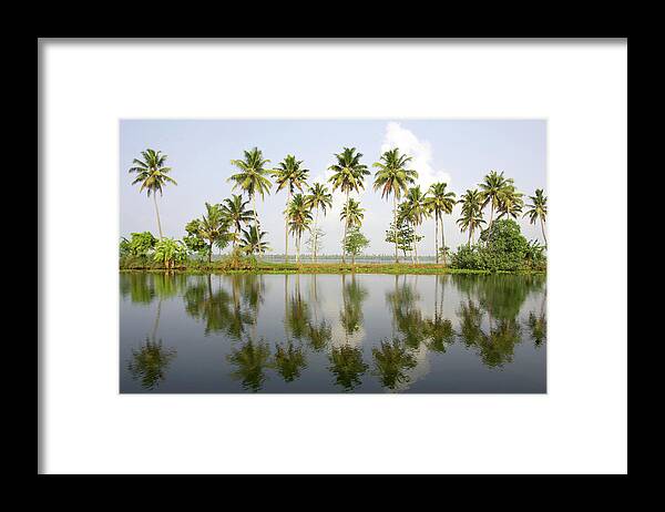 Scenics Framed Print featuring the photograph India, Kerala, Alappuzha, Palm Trees by Sydney James