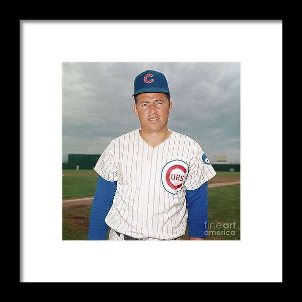 Infielder Ron Santo Of The Chicago Cubs Framed Print by Bettmann 