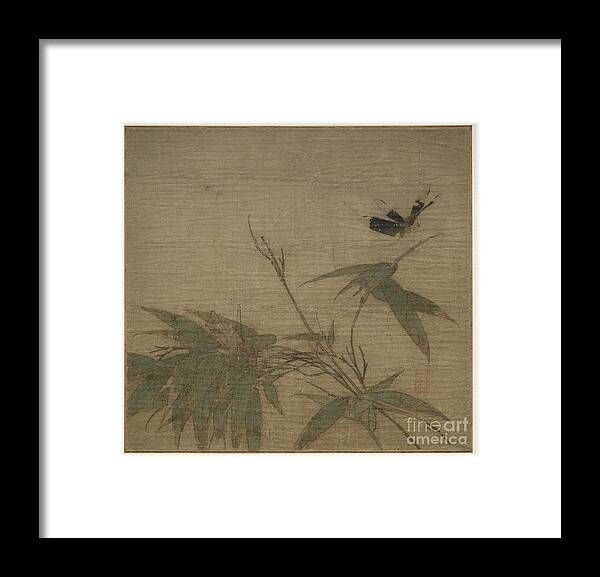 Insect Framed Print featuring the drawing Insects And Bamboo by Heritage Images