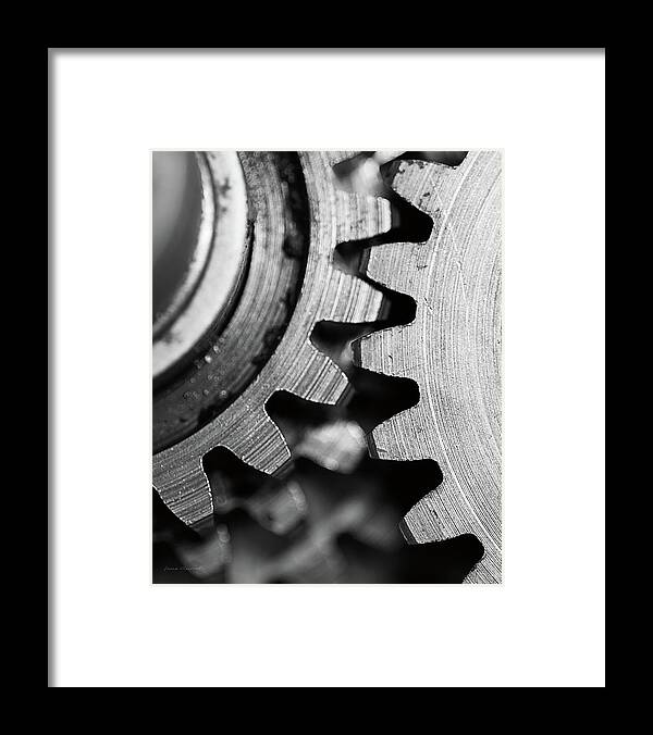 Black And White Framed Print featuring the photograph Interlocked II by Laura Marshall