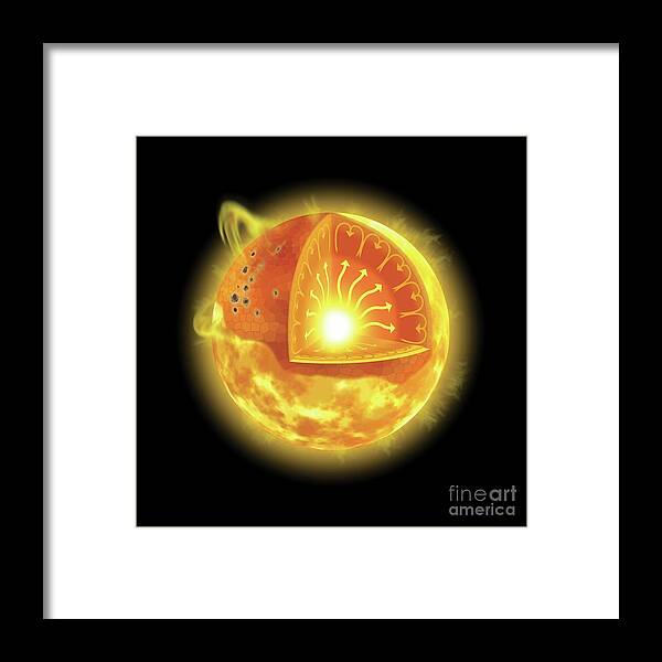 Sun Framed Print featuring the photograph Internal And Surface Structure Of The Sun by Tim Brown/science Photo Library