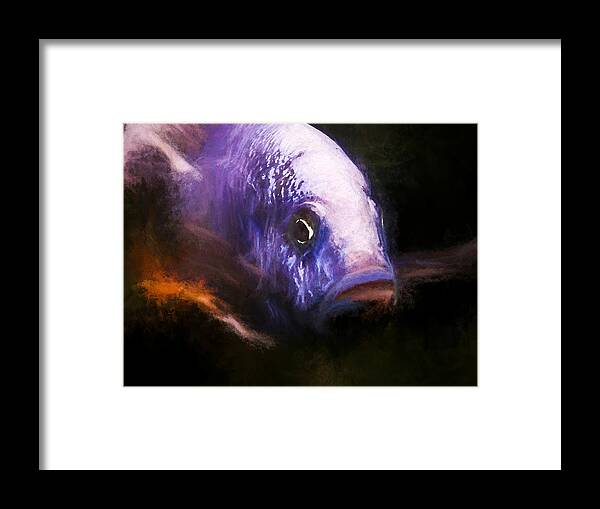 African Cichlid Framed Print featuring the digital art Intimidating Electric Blue Ahli by Don Northup