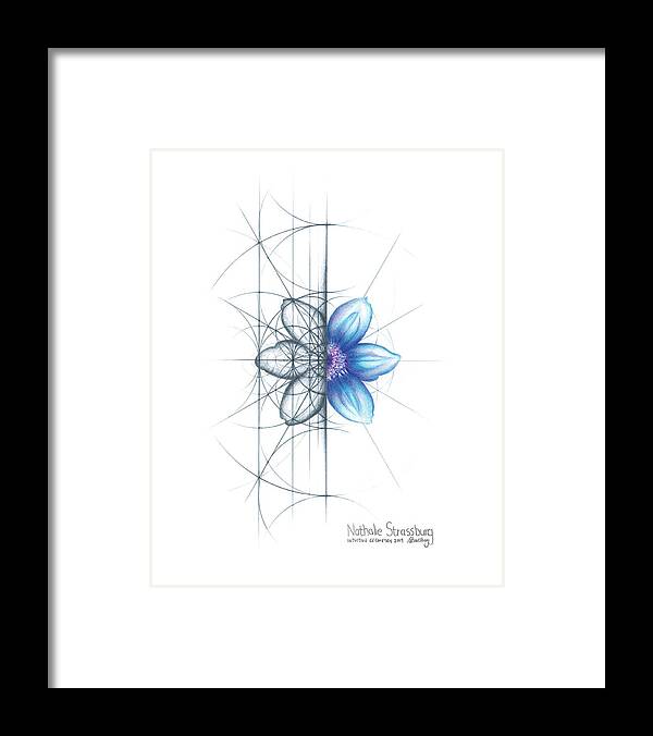 Clematis Framed Print featuring the drawing Intuitive Geometry Clematis Flower by Nathalie Strassburg