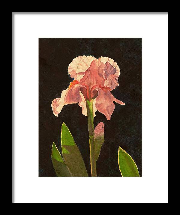 Floral Framed Print featuring the painting Iris 3 by Heidi E Nelson