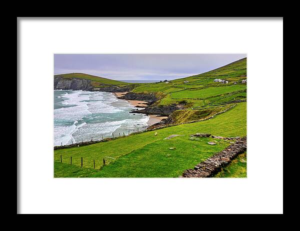 Grass Framed Print featuring the photograph Irish Coastal Pastures by Craig Gordon