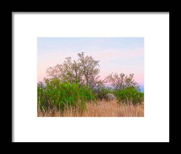 Affordable Framed Print featuring the photograph Ironwood Trees After Sundown by Judy Kennedy