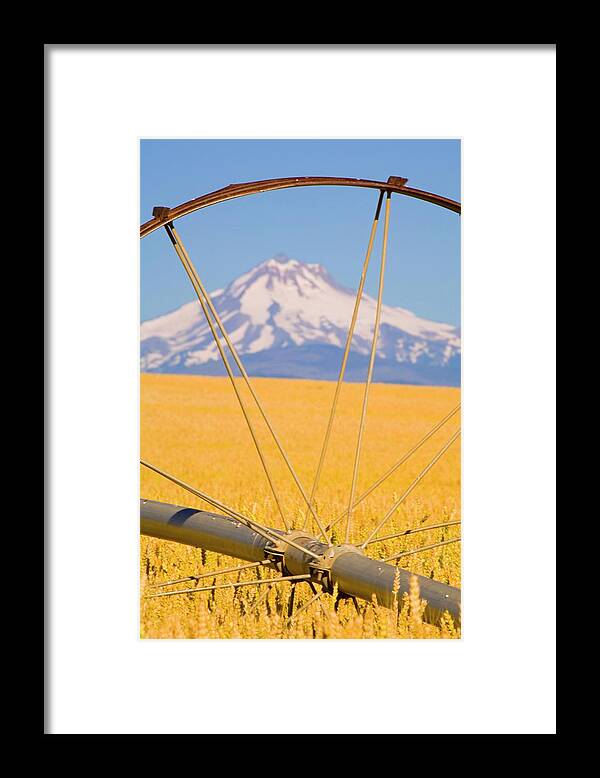 Scenics Framed Print featuring the photograph Irrigation Pipe In Wheat Field With by Design Pics / Craig Tuttle