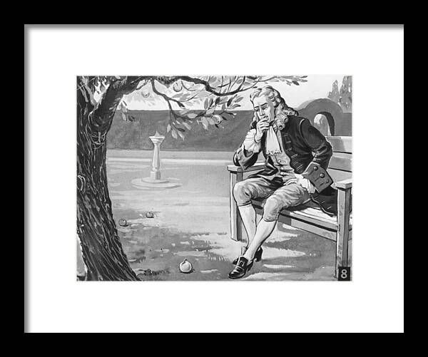 Physicist Framed Print featuring the photograph Isaacs Apple by Hulton Archive