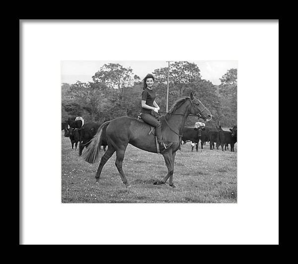 Horse Framed Print featuring the photograph Jackies Horse by Keystone