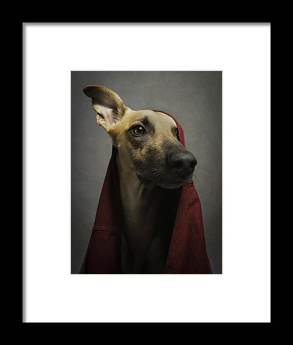 Dog Framed Print featuring the photograph Jake by Akitu
