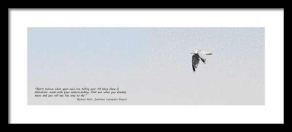  Jonathan Living Seagull Framed Print featuring the digital art Jonathan by Rod Melotte