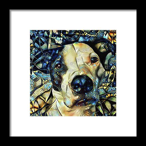 Staffordshire Terrier Framed Print featuring the digital art Joshua the Staffordshire Terrier Great Dane Cross by Peggy Collins